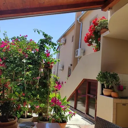 Iva Guest house