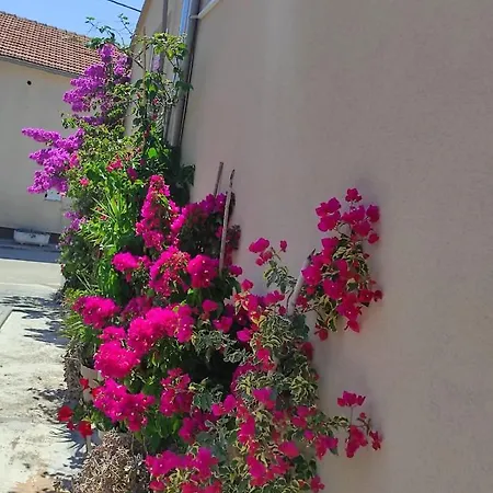 Iva Guest house