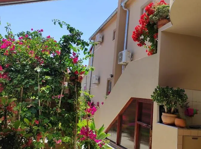 Iva בית הארחה