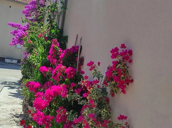 Iva בית הארחה