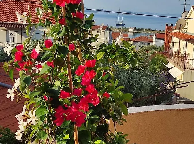 Iva בית הארחה פאקוסטאן