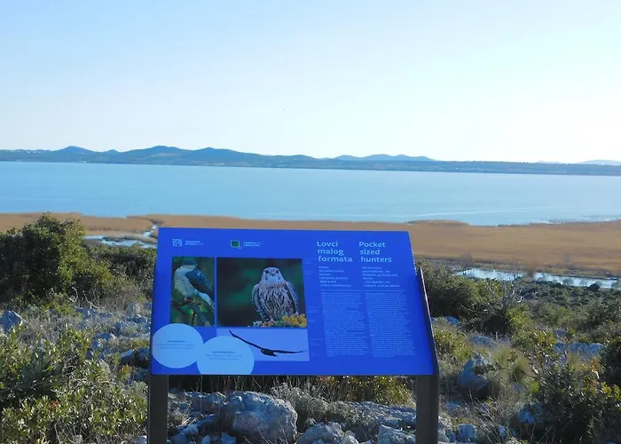 Iva בית הארחה