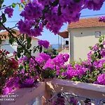 Pensión Iva Pakoštane