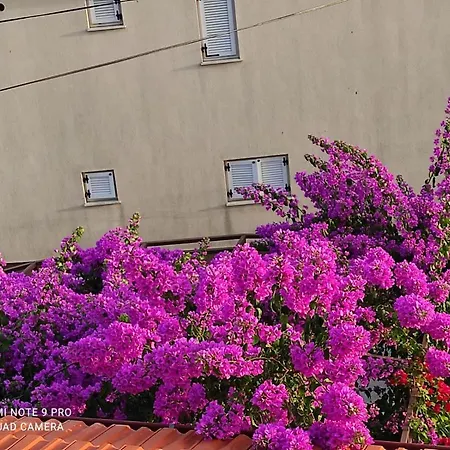 Iva Gæstehus Pakoštane