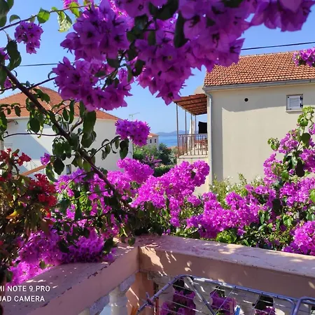 Gæstehus Iva Pakoštane